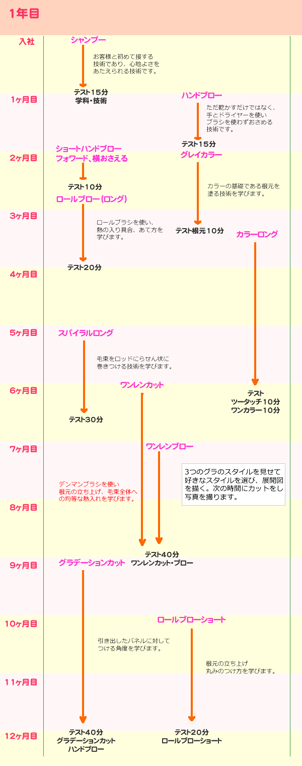 カリキュラム1年目