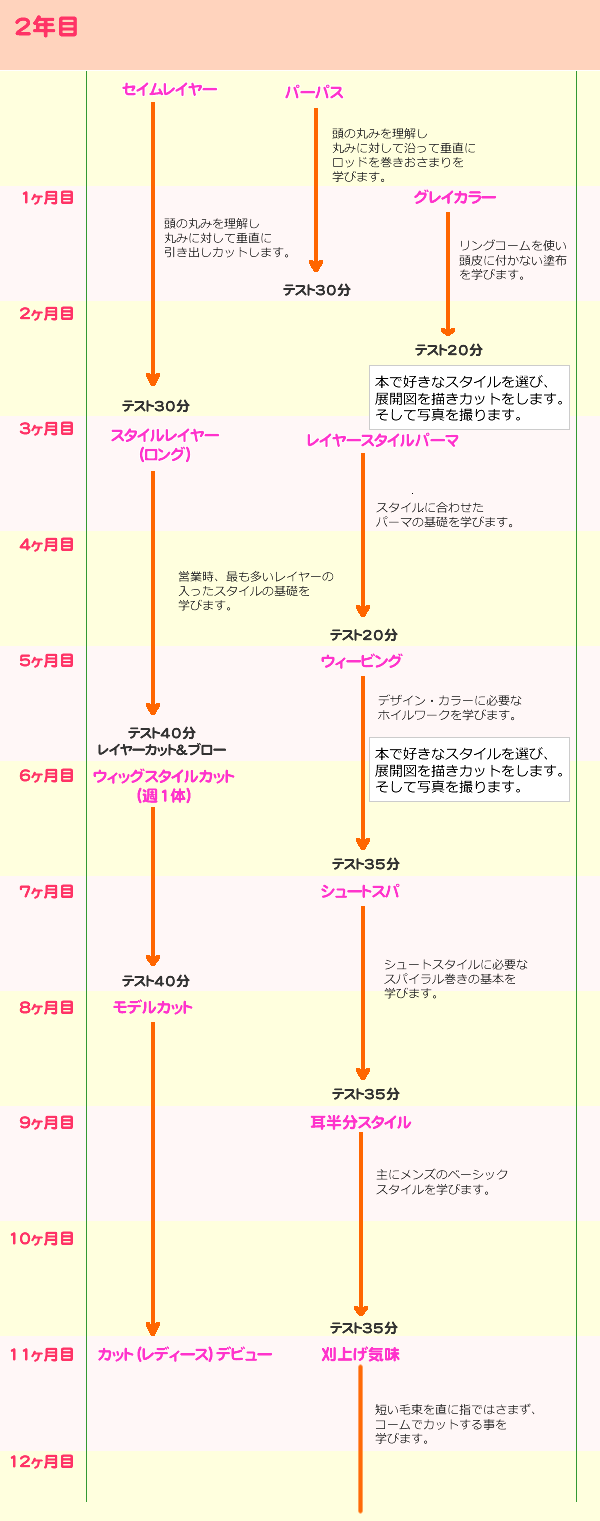 カリキュラム2年目