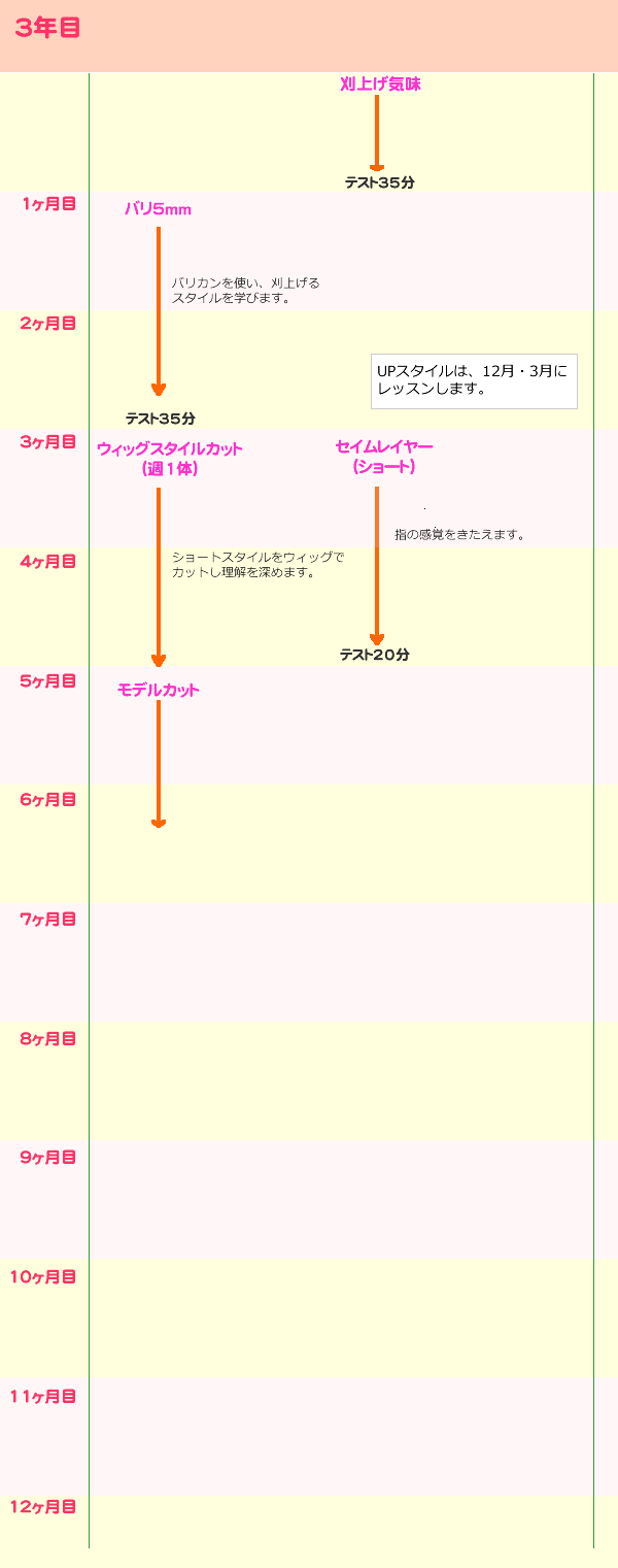 カリキュラム3年目